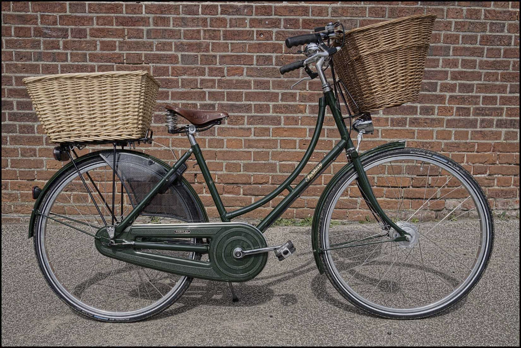 gumtree pashley